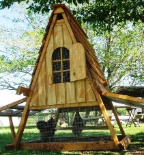 chicken coop for sale- good for 4 hens