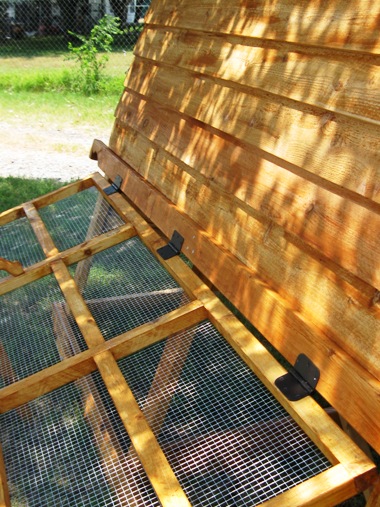 big and tall chicken coops for 12 chickens