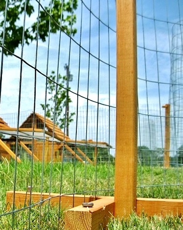 chicken coop and fence kit