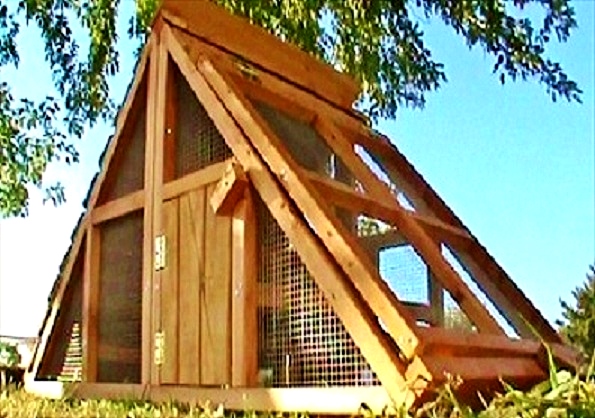 chicken coop for sale