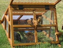 portable duck coop for sale ship nation wide