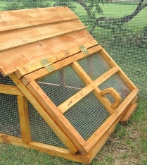 Texas duck coop/house/shelter 