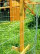 portable chicken fence
