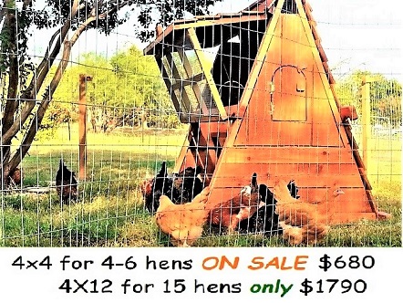 Best selling chicken coops in the year 2019