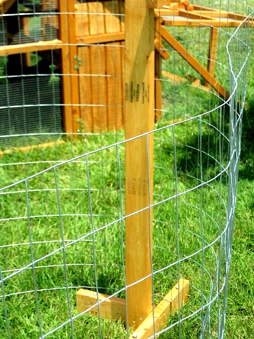 ready-made-chicken fence kit