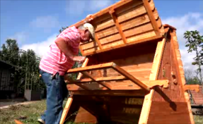 chicken coop and brooder together