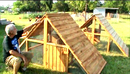 large chicken coops for sale