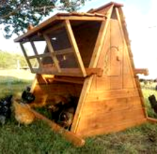 us made chicken coop for 10 chickens tx