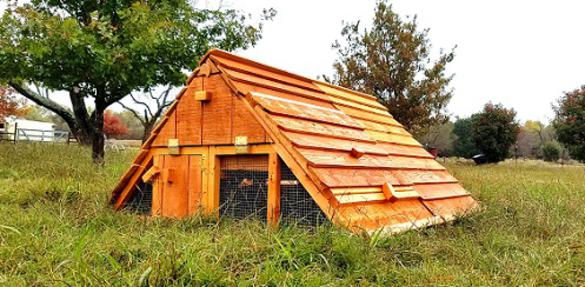 Beautiful modular chicken coop for 12 more chickens