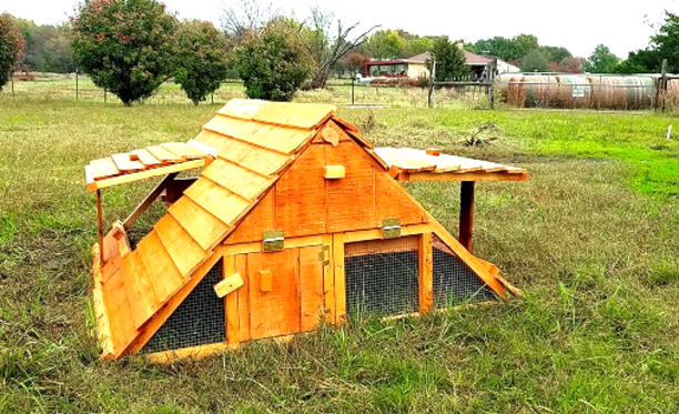 modular chicken coop for 10 or 20 and more chickens