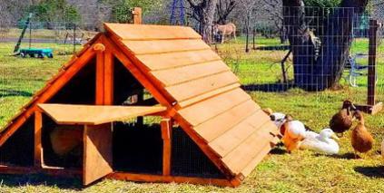 best ready made duck coop kit good for chicken coop kit too