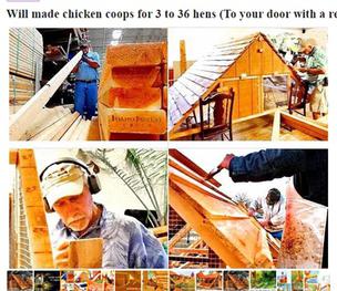 Family chicken coop business for sale near Dallas Texas