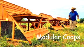 brooders and modular chicken coop