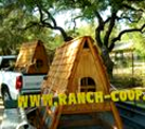 chicken coop delivery tx