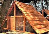 beautiful storm proof chicken coop ready made kit