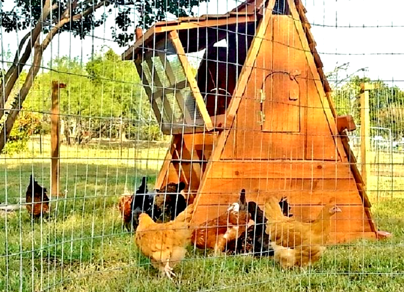 chicken coop and portable fence post set